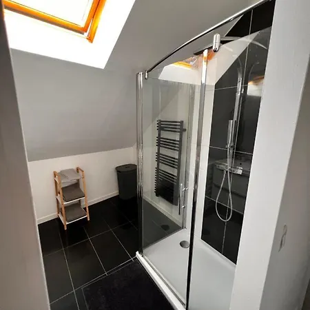Fauvette Spacieux Duplex Hyper Centre