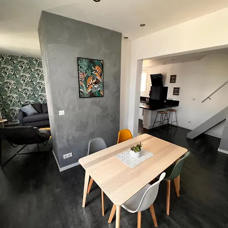 Fauvette Spacieux Duplex Hyper Centre إيبيرني