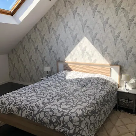 Fauvette Spacieux Duplex Hyper Centre